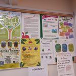 Notice board showing a selections of health related posters and information.