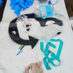 Mixed pieces of found waste